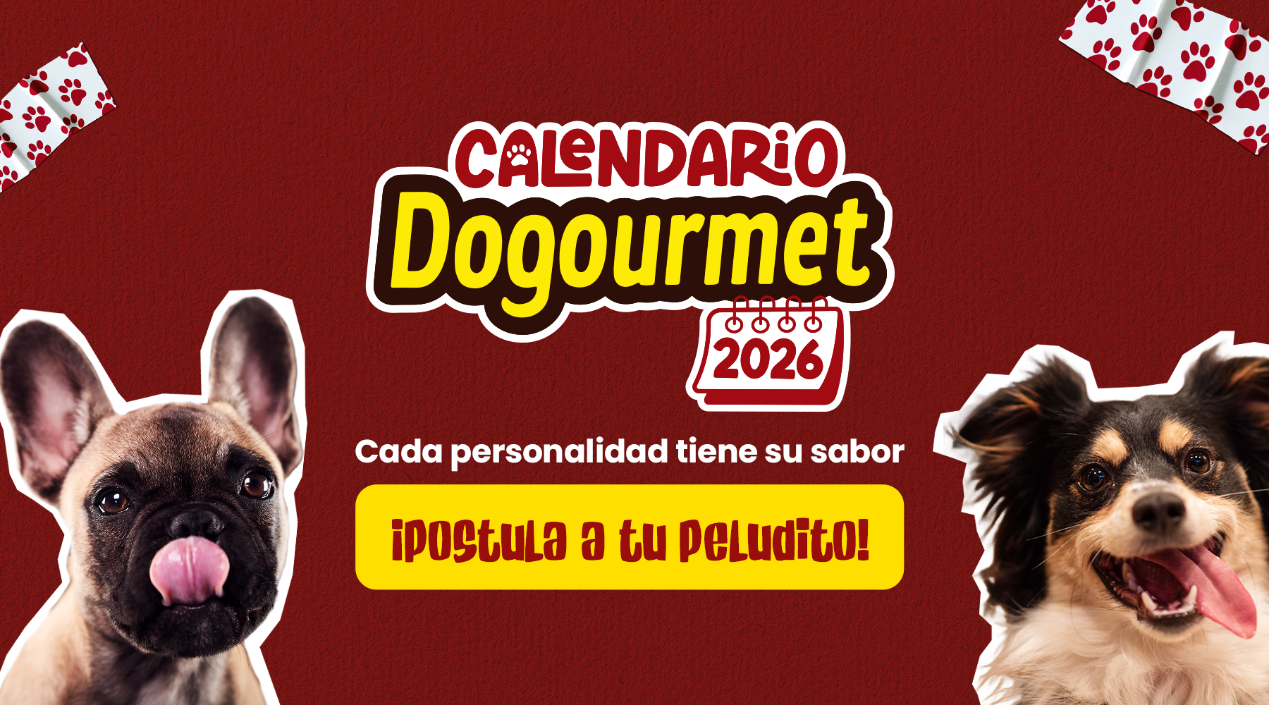 En el Calendario Dogourmet 2026 cada personalidad de los peluditos tiene un sabor
